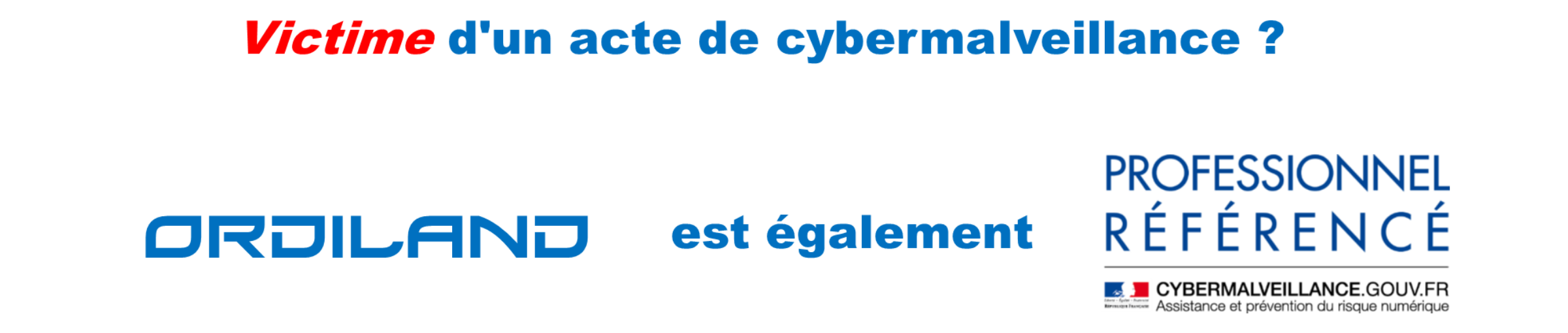Cybermalveillance